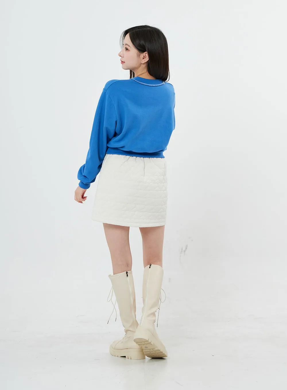 High Waist Heart Mini Skirt BO27